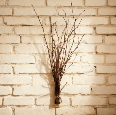 桦树枝天然干树枝带叉枝条