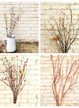 桦树枝天然干树枝带叉枝条室内摆设擦花装饰家居文艺拍摄年味