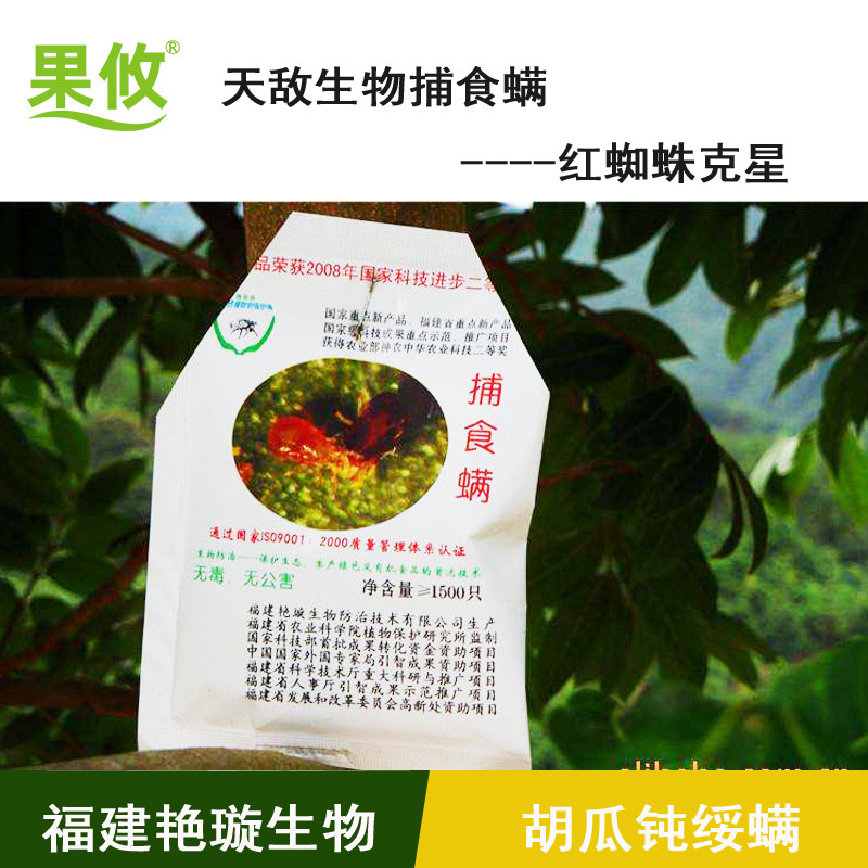 【果攸】胡瓜钝绥螨捕食螨红蜘蛛天敌柑橘草莓 杀螨 现货