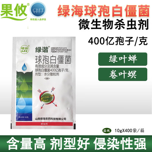 绿海球孢白僵菌绿叶蝉稻纵卷叶螟