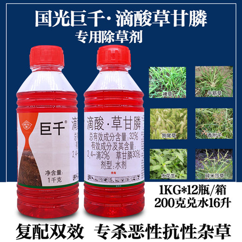 国光千滴草甘膦荒地果园道路
