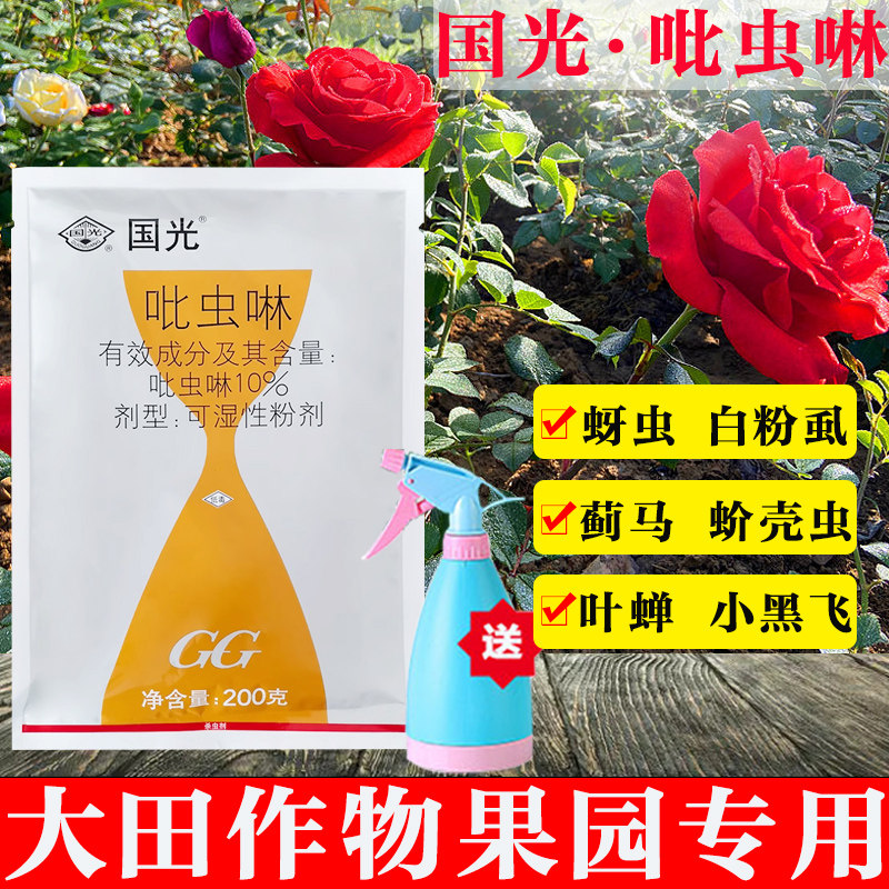 国光10%毙克吡虫啉小白药杀虫剂月季多肉蚜虫蓟马蚧壳虫白粉虱药