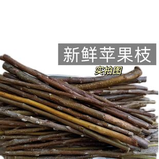 店铺热销|苹果枝兔子磨牙棒仓鼠专用可食零食用豚鼠龙猫新鲜细的