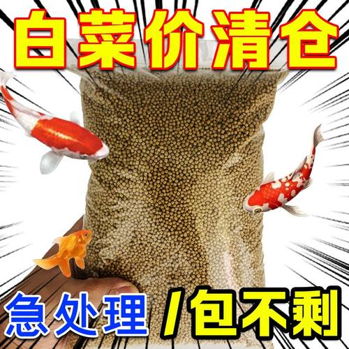 鱼饲料鱼粮小鱼幼鱼小型鱼观赏鱼斗鱼孔雀鱼锦鲤专用上浮金鱼饲料