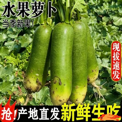 潍坊水果青冰淇淋萝卜蔬菜