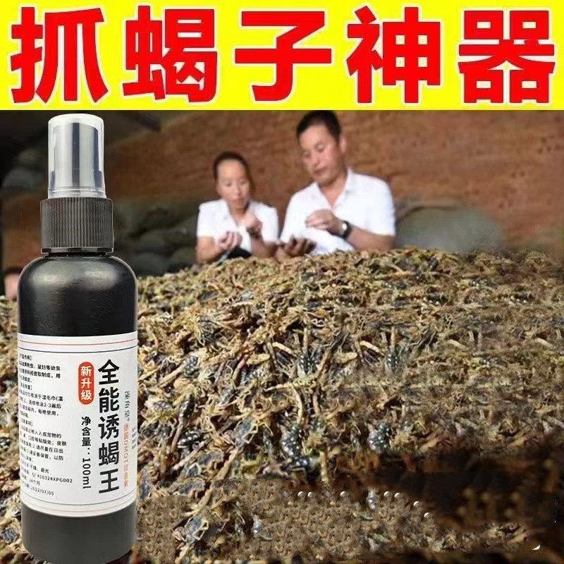全蝎杜伯主簿虫虿尾虫全虫茯背虫蝎子神器诱蝎子小药抓诱蜈蚣粉