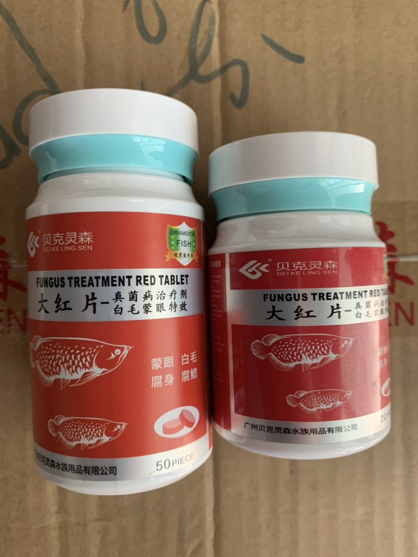 贝克灵森大红片观赏鱼锦鲤金鱼热带鱼日常维护用