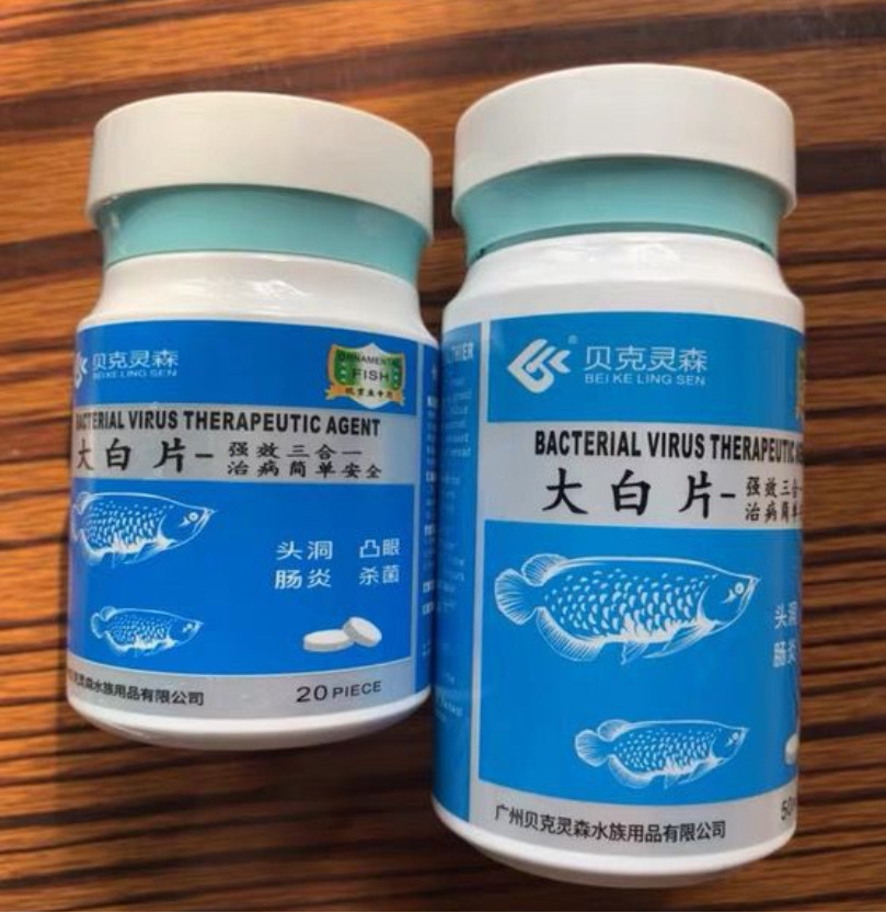 贝克灵森大白片观赏鱼用