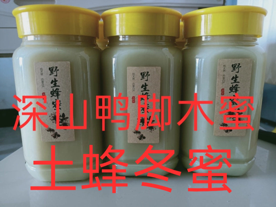 深山散养土蜂鸭脚木蜜——深山土蜂蜜