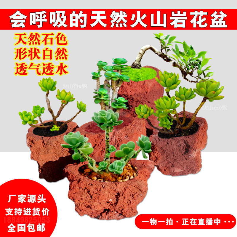 火山石花盆多肉兰花绿植菖蒲简约天然异形盆栽吸水红色岩石头透气