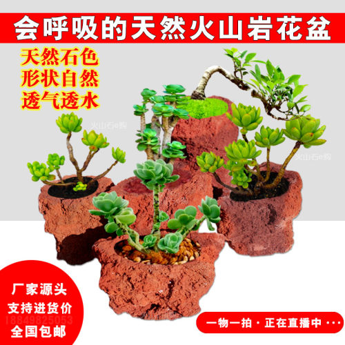 火山石花盆多肉复古盆透气透水盆