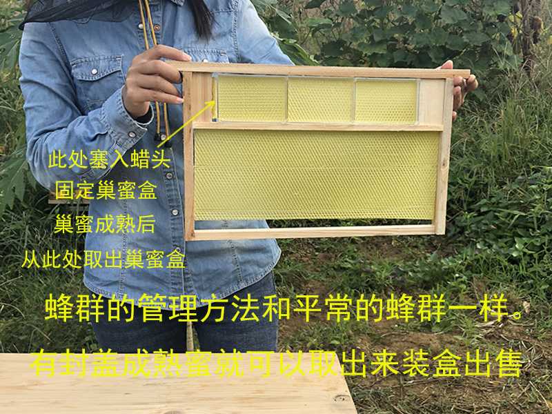 巢蜜框蜂箱巢础框养蜂专用工具喂蜂神器用品蜂具全套中标百朵千丛