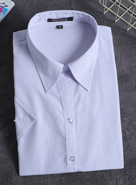 雅戈尔荷叶领女士条纹短袖衬衫纯棉免烫职业工装半袖TSDP10020QQF