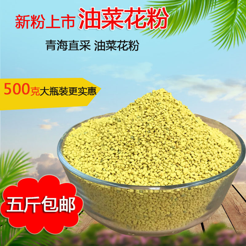 油菜花粉天然破壁食用 喂蜂养蜂专用蜂粮5斤包邮蜜蜂花粉饲料