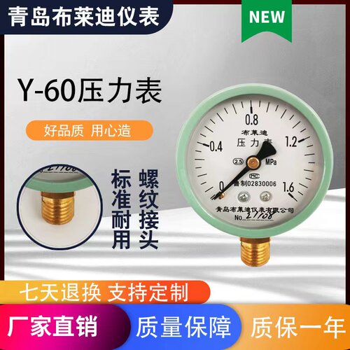 青岛布莱迪仪表水压可定制