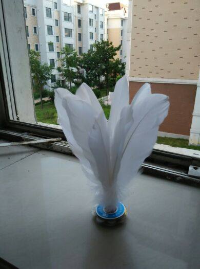 Protection sport - Ref 586570 Image 1