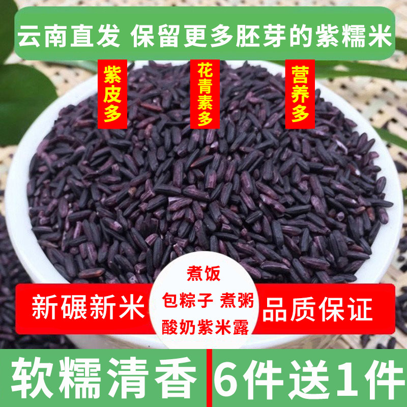 保留更多胚芽紫糯米云南紫糯米新米黑米糯米散装称黑糯米云南特产