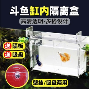 鱼缸隔离盒透明亚克力孵化盒孔雀鱼斗鱼缸内独立饲养隔离盒乌龟蛋