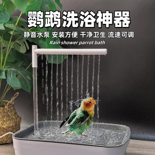 鹦鹉洗澡神器循环水鸟专用