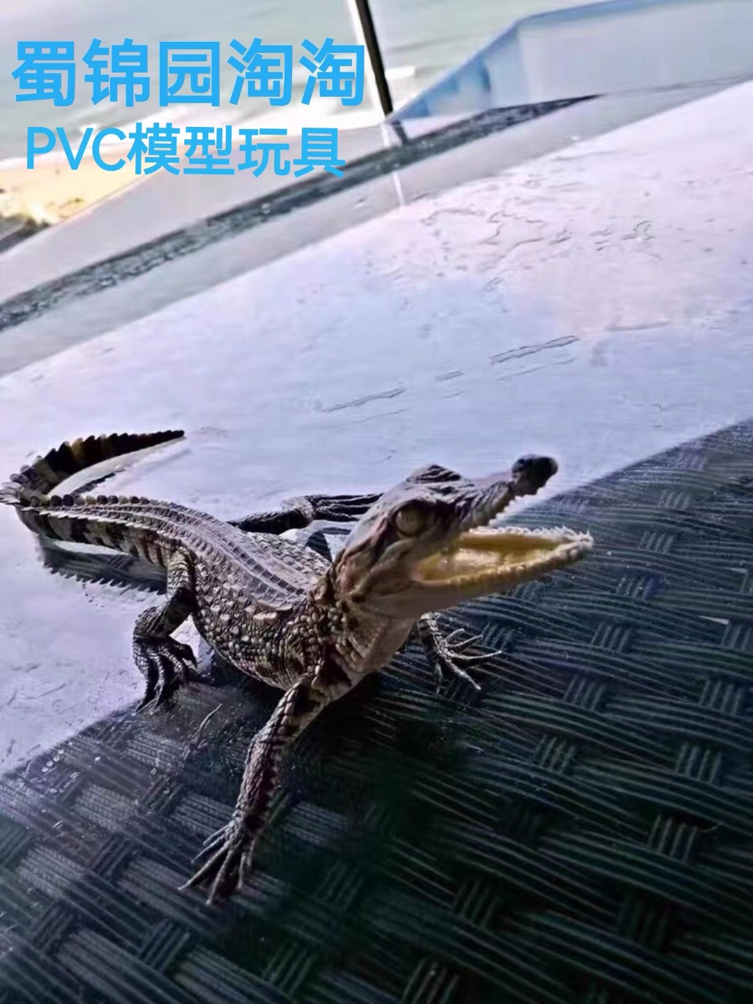 宠物小鳄鱼模型 鳄鱼幼苗玩具 仿真/动物玩偶