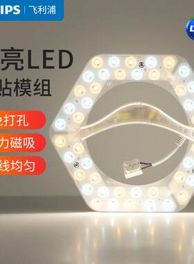 光源LED灯芯模组飞利浦