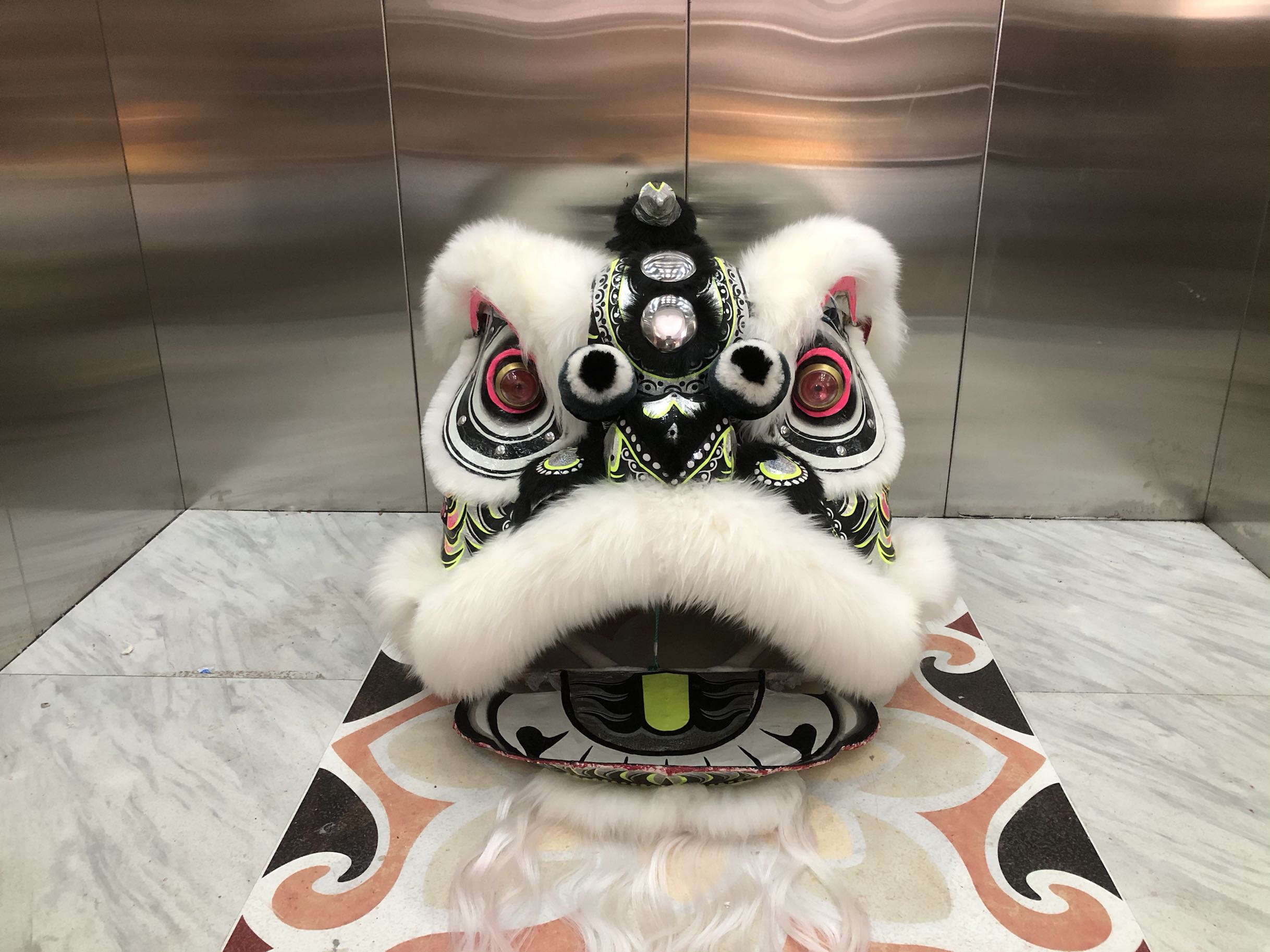 南狮行 老夫子狮头 三个镜子狮子 老夫子醒狮 广东南狮 舞龙舞狮