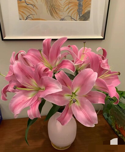 【精美单品品质优先】年花云南昆明卡瓦娜百合鲜花速递基地直发 - 封面