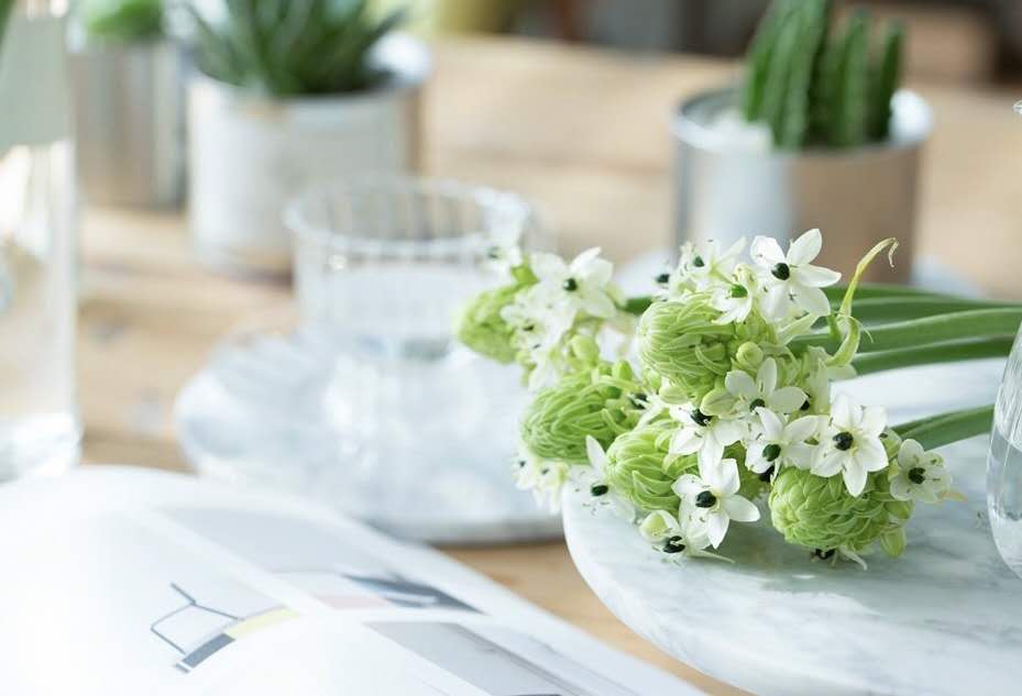 当季时令花材奥斯丁玫瑰芍药