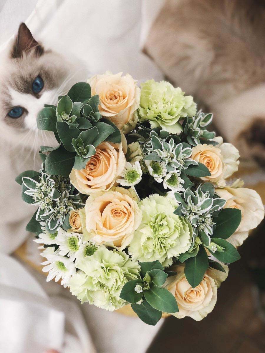 平和乡附近送花 爱花365