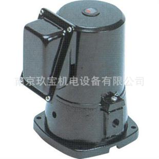 F1030 09A 1100日本YHA馬達SP