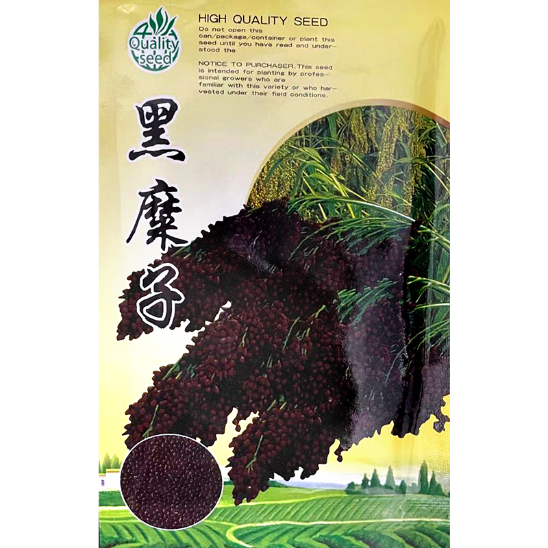黑糜子种子红糜子黄糜子种籽大黄米种子扫把笤帚糜子黍子种子带壳