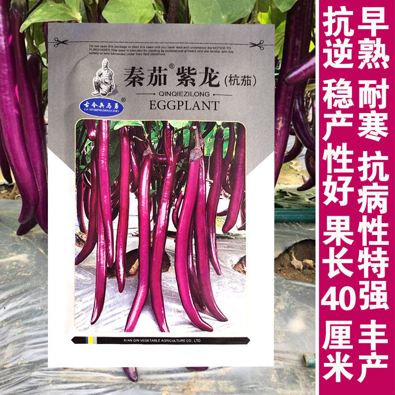 杭茄一号长茄种子苗特大线茄茄子大全秧四季菜蔬菜种籽秧苗孑茄苗,鲜花速递/花卉仿真/绿植园艺,家庭园艺种子,淘宝优惠券,粉丝福利购,淘宝优惠卷