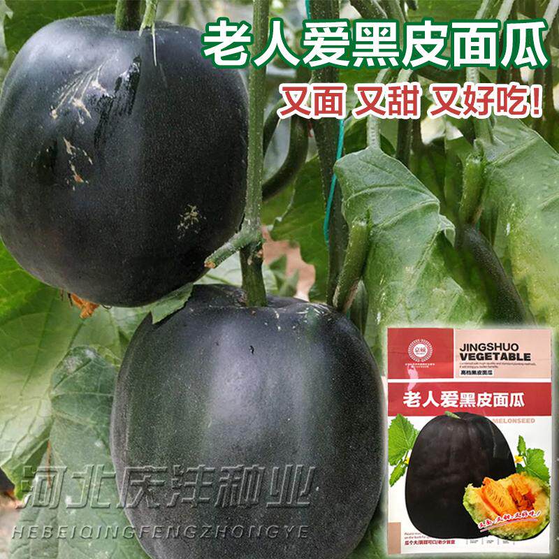 黑皮面瓜种子香瓜甜瓜种籽超面超甜四季水果蔬菜老品种春秋播种
