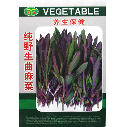 野生曲麻菜种籽叶菜野菜苦麻菜种子苦菜种籽四季春夏秋冬播盆栽