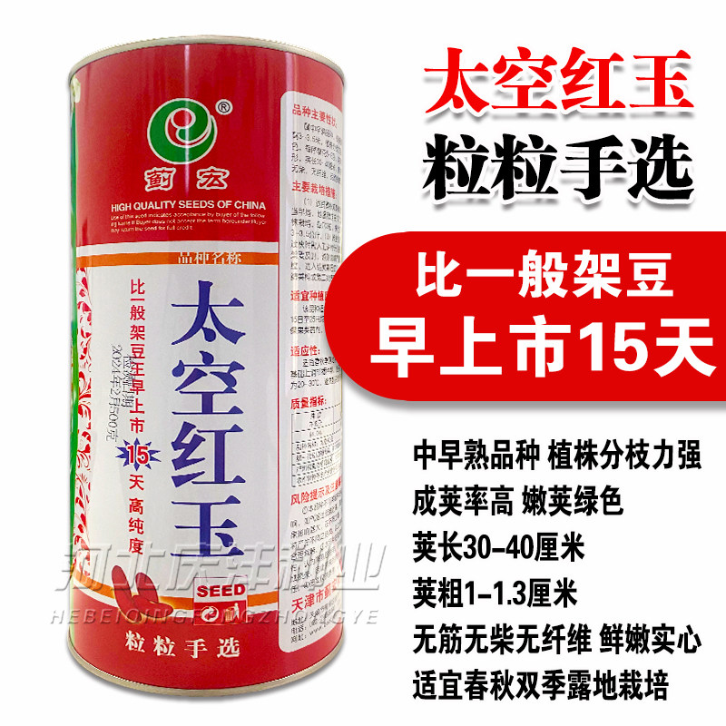 无筋架豆种子红玉架豆王种籽芸豆种子高产抗病抗热春秋播芸豆种子