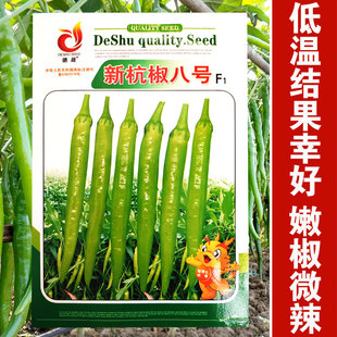 杭椒八号辣椒种子辣味高产蔬菜种籽四季春季夏秋冬播种超辣朝天椒