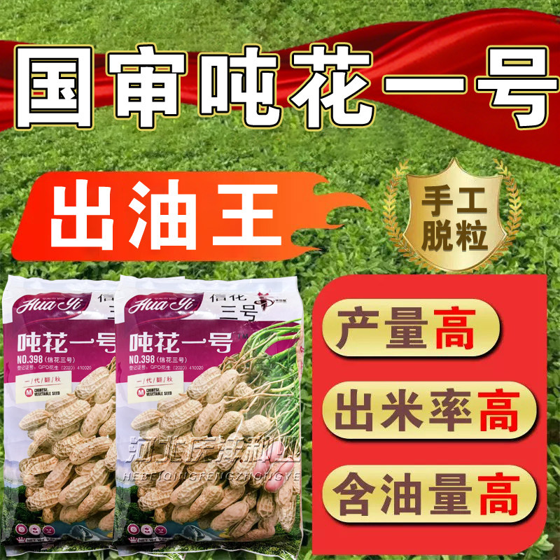吨花一号花生种子5斤装100%纯手工脱壳净米粒出油王高产花生原种