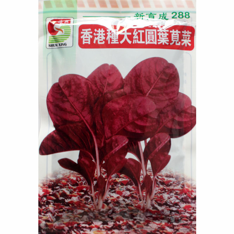 香港种大红圆叶苋菜种子叶片鲜红叶肉厚新品种农家四季盆栽蔬菜籽 - 实物图