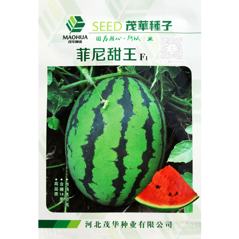 甜王西瓜种子特大春季四季高产超大甜懒汉京欣巨型巨大8424种籽苗