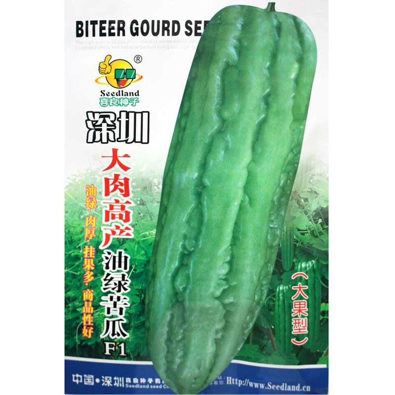 油绿苦瓜种子籽长绿秋冬肉厚绿苦瓜青春夏秋种植春四季蔬菜瓜盆栽