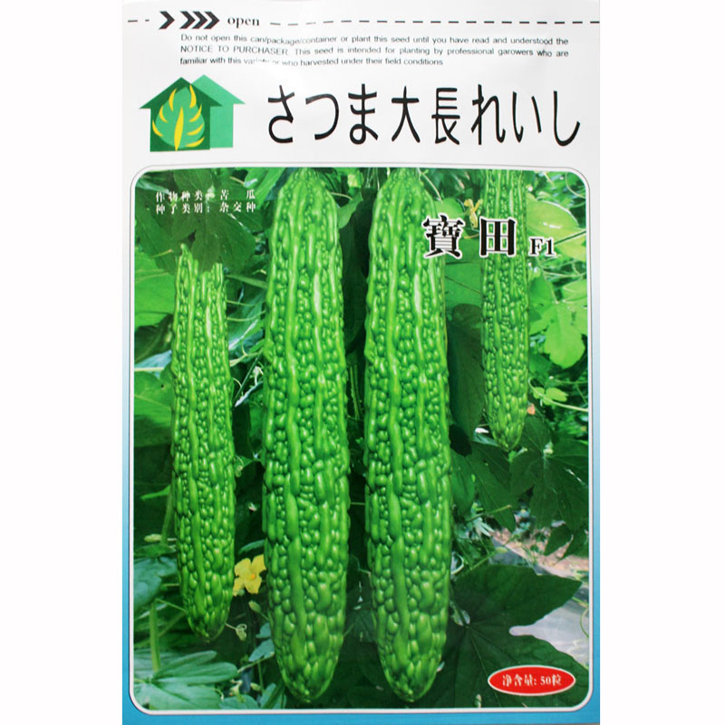 高产苦瓜种子种籽苗 春季疙瘩绿四季孑特大蔬菜种苗 四季播种高产