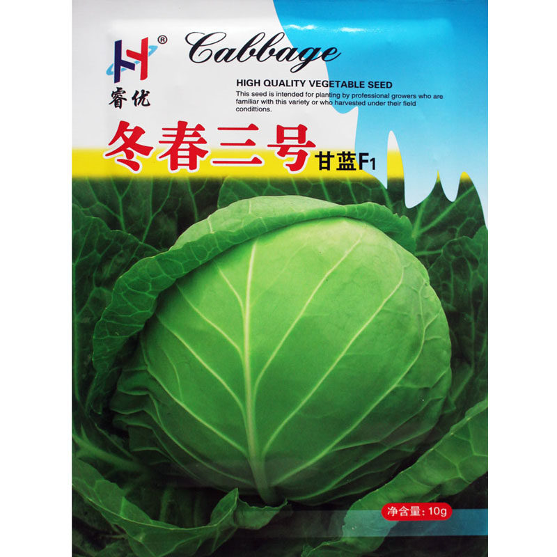抗低温甘蓝种子 冬春三号 反季节越冬甘蓝籽 冬性强圆球形蔬菜种