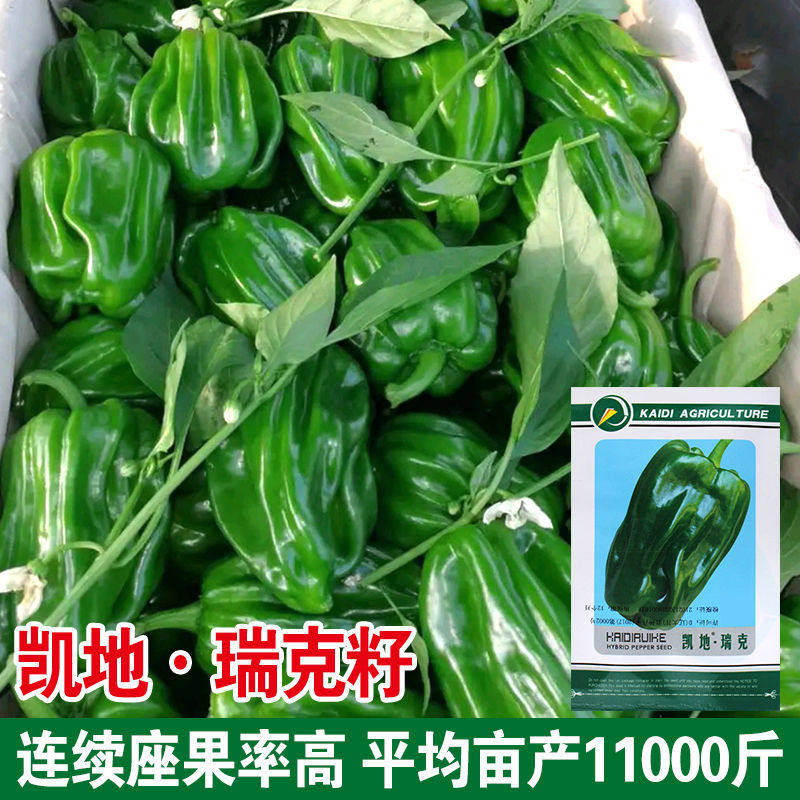 薄皮椒甜椒泡椒大辣椒种子大田高产蔬菜种孑春季蔬菜种子夏季秋季