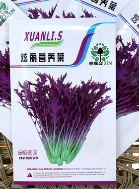 紫叶雪里蕻种子紫金营养菜种子孑叶用紫色芥菜种子蔬菜春秋四季播