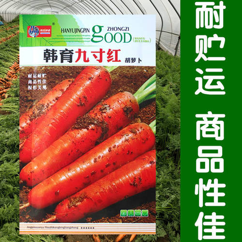 韩育红参九寸沙窝萝卜樱桃蔬果