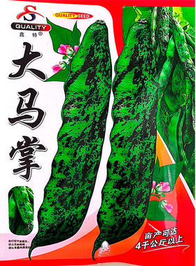 东北大马掌豆角种子豆角