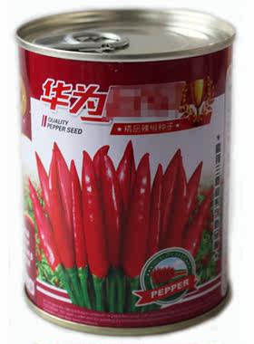 大果抗病三樱椒华为春季蔬菜种子
