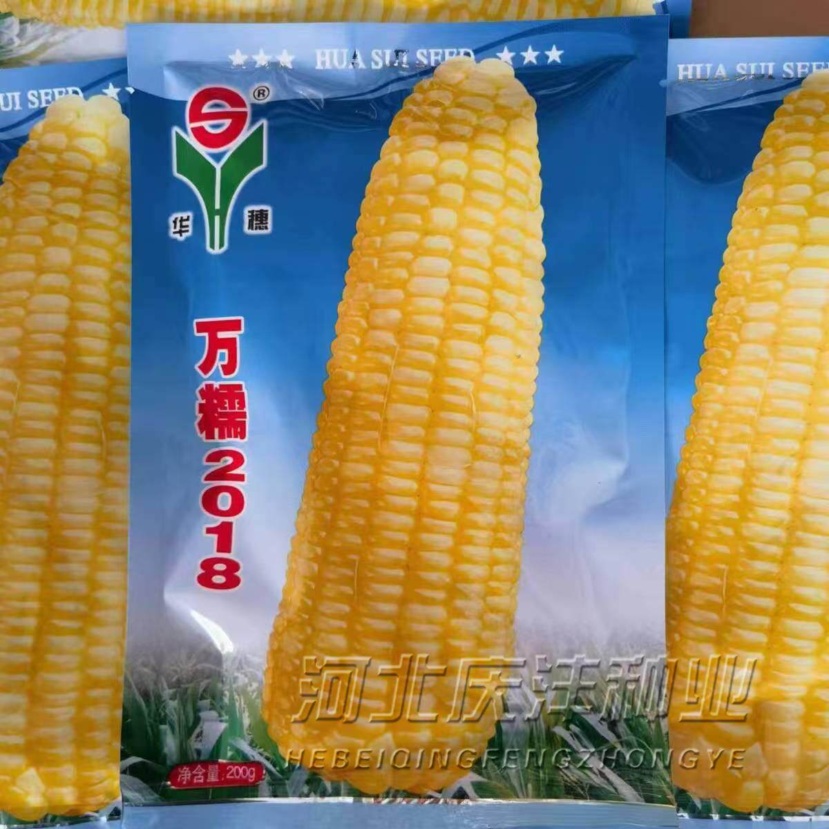 华穗万糯2018黄糯玉米新种子大棒型鲜食型玉米种子黄粘糯玉甜加糯