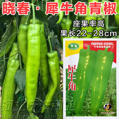 犀牛角辣椒种子大牛角椒辣椒种子