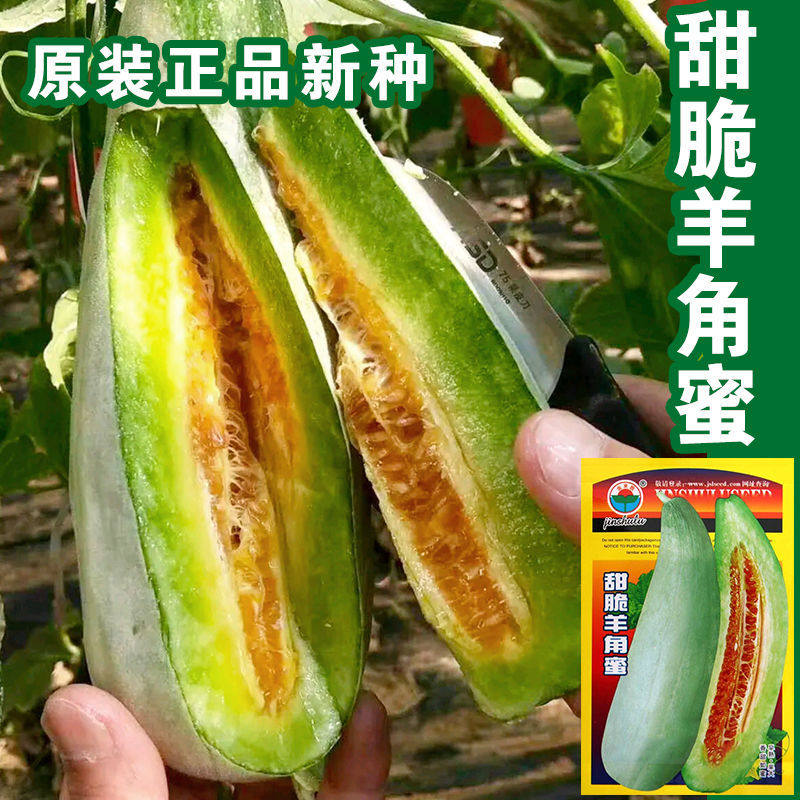 甜脆羊角蜜种子羊角酥甜瓜种籽香瓜密薄皮脆甜正品春季四季蔬果孑